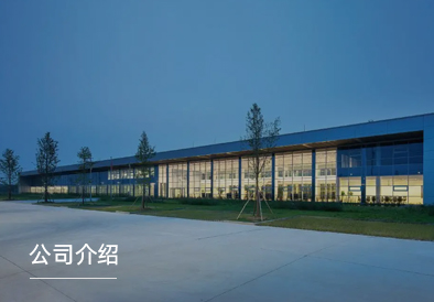 公司介绍