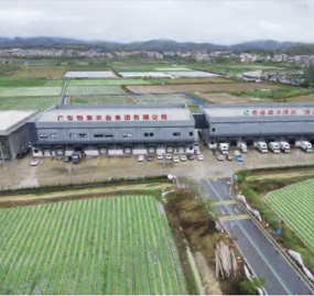 种植基地